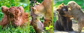 Tierpark Olderdissen